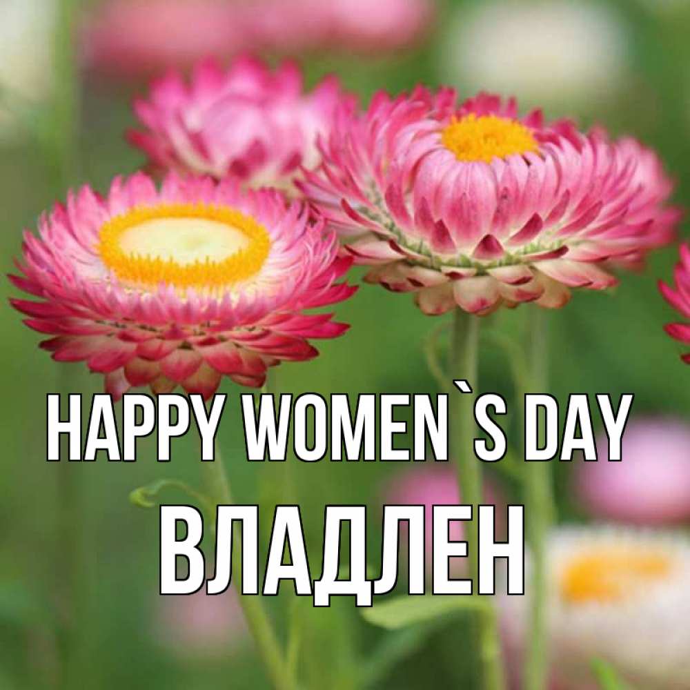 Greetings card с именем, Владлен happy women`s day подарок на международный женский день Greetings with text for free download 